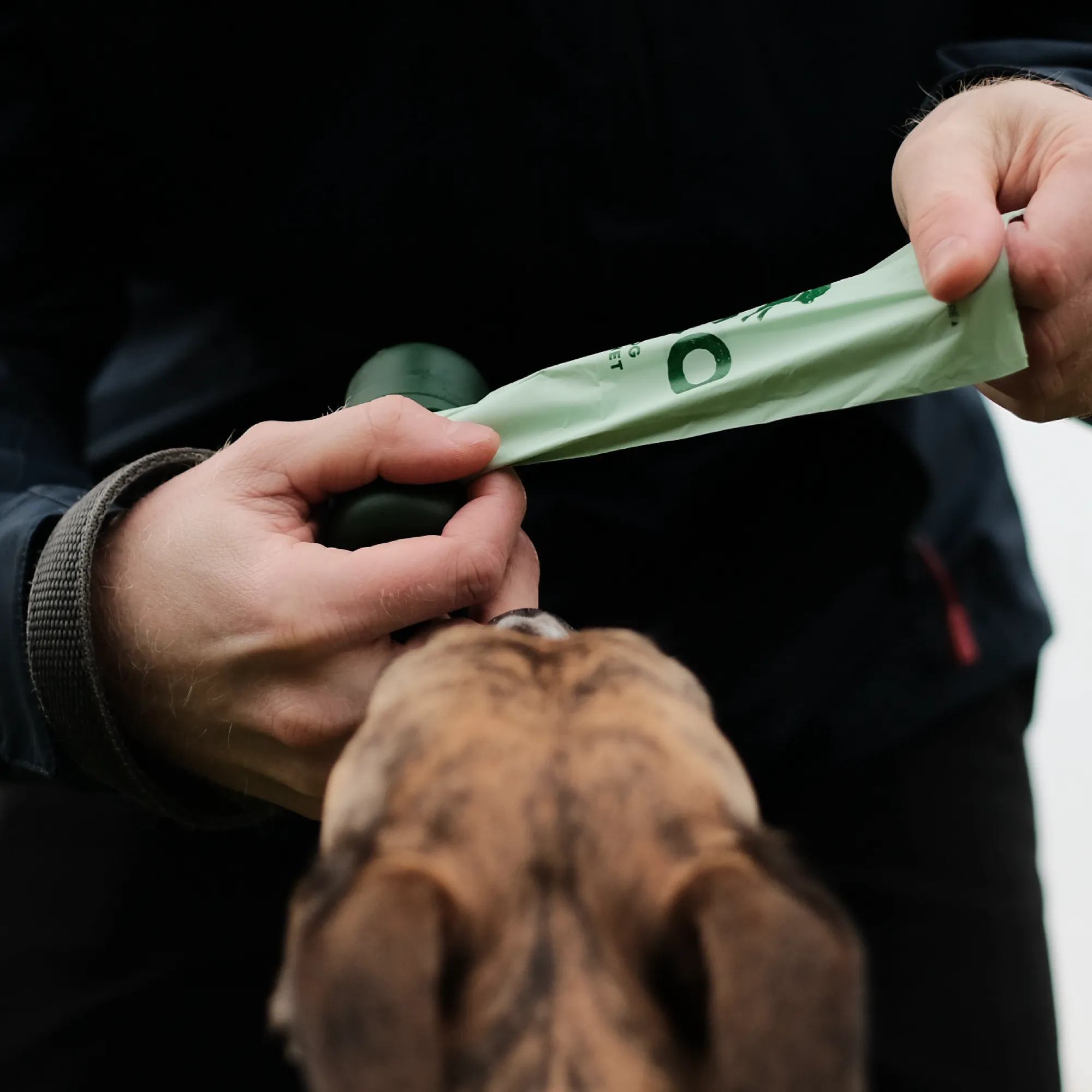 Beco Poop Bag, Mint Scented | Big, Strong, Leak-Proof