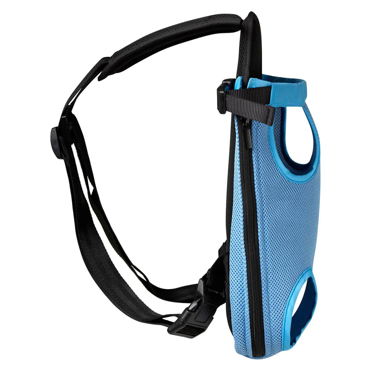 Buddy & Belle Dog Backpack
