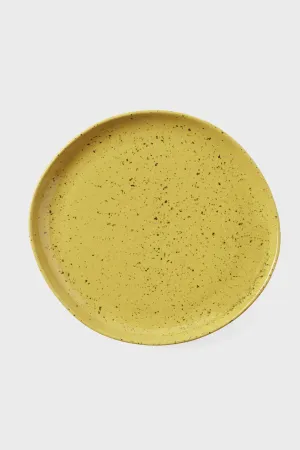Chartreuse Salt Marcus Glaze Dinner Plates (Set of 4)