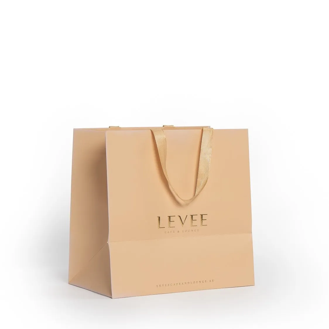 Custom Paper Bag with Handles