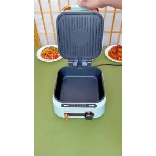 Electric Multi-Functional Cooking Pot