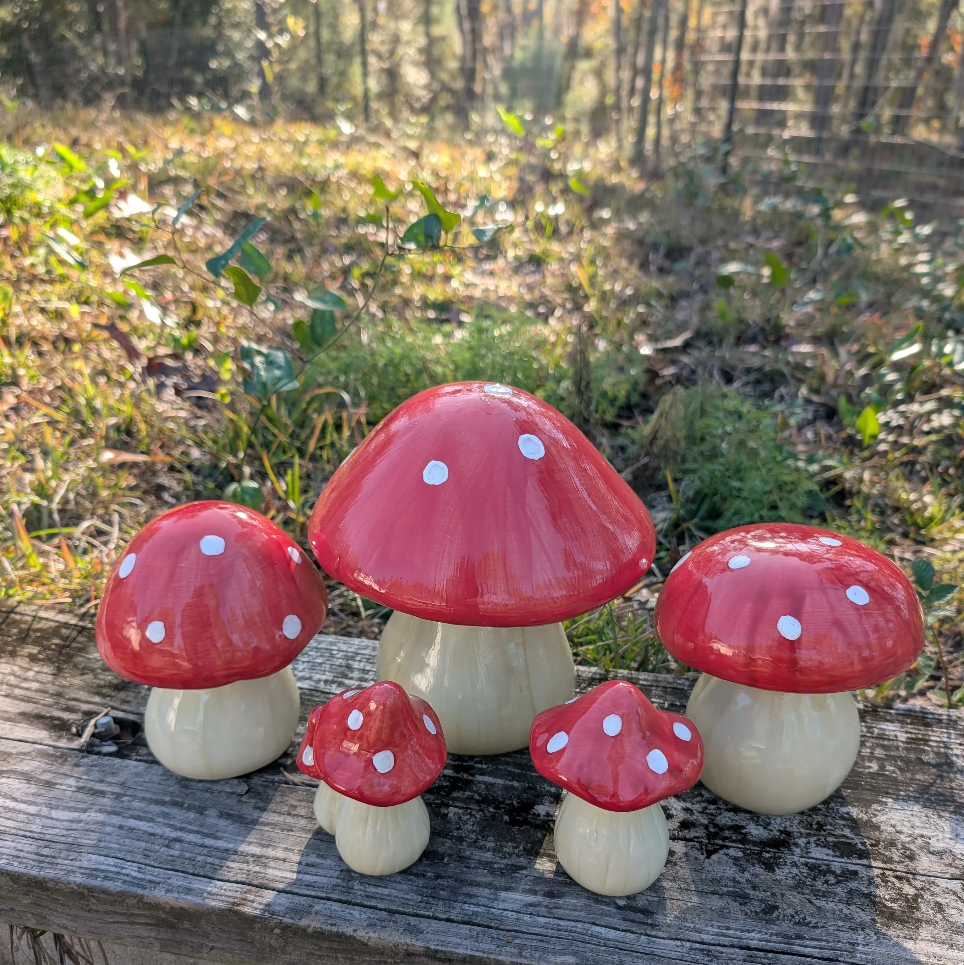 Garden mushroom (5-inch)