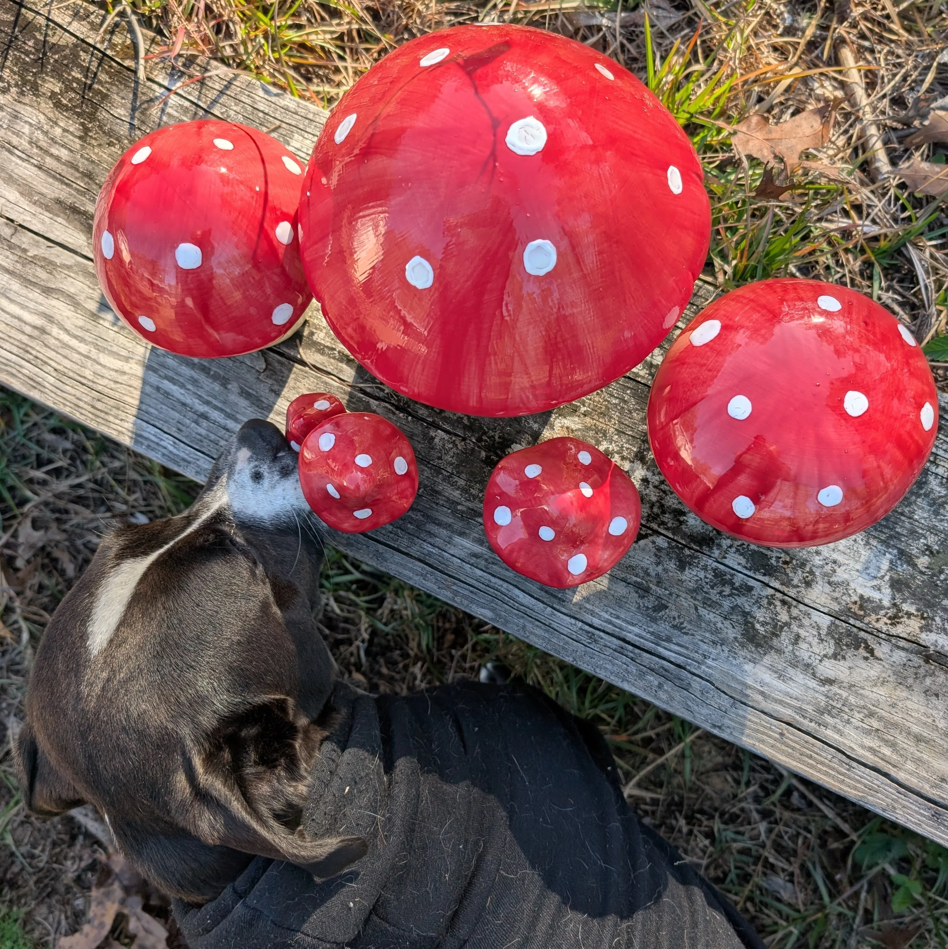 Garden mushroom (5-inch)