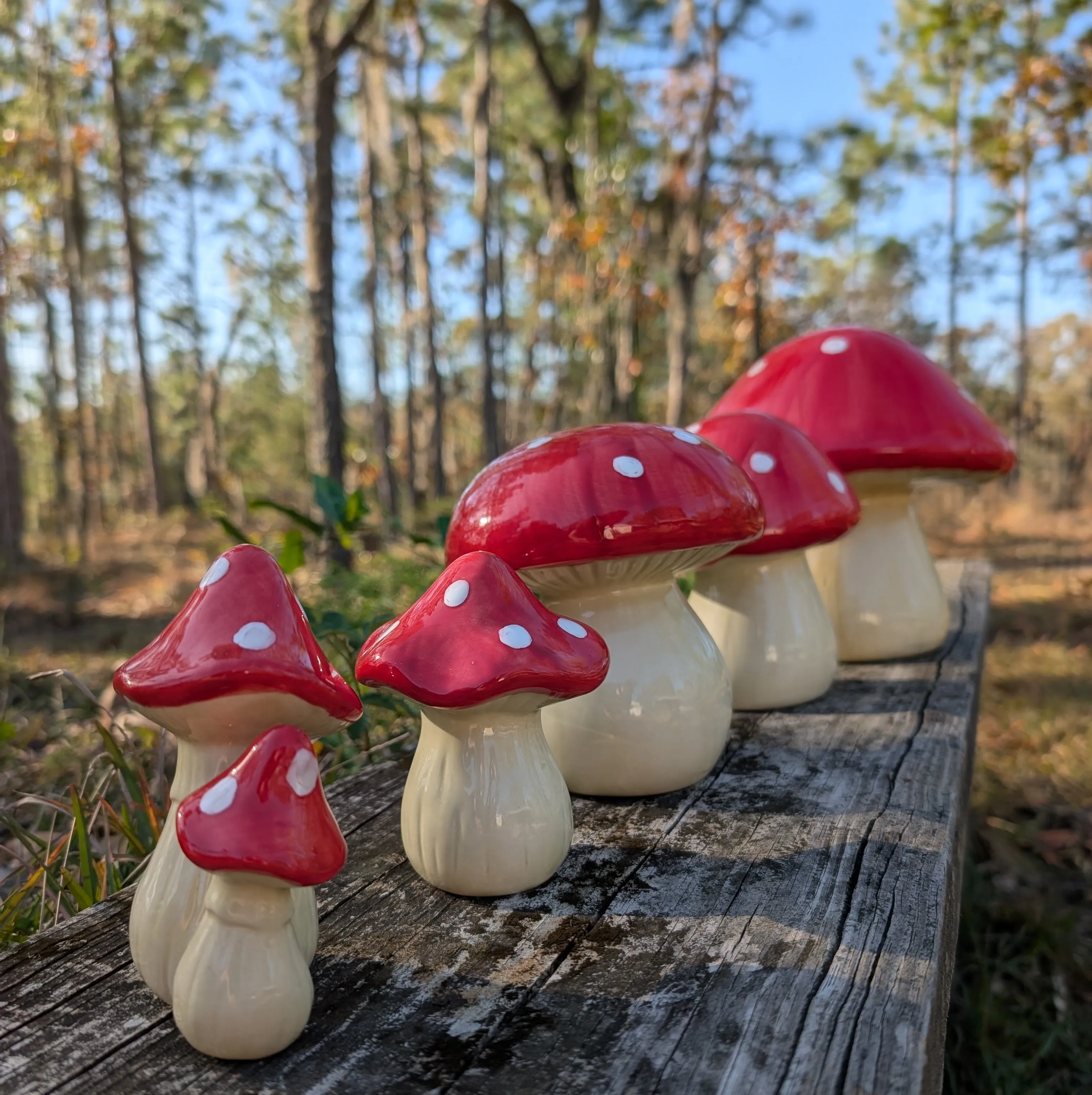 Garden mushroom (5-inch)