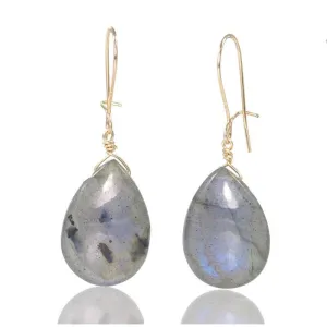 Labradorite Earrings with Gold Filled Kidney Ear Wires