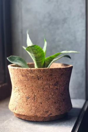 MATKA CORK PLANTER