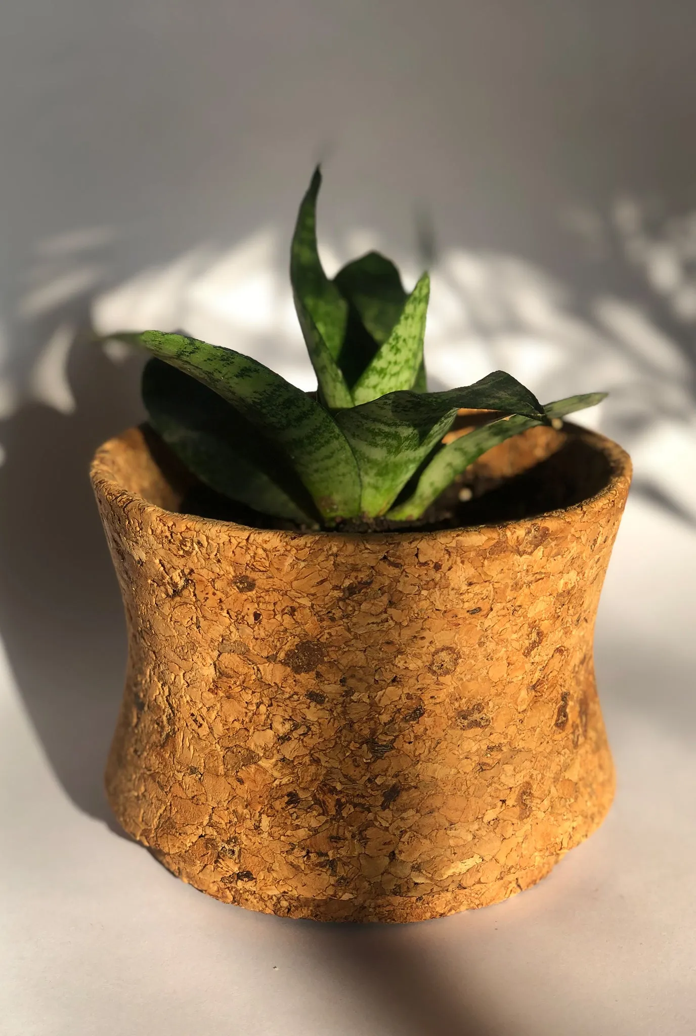 MATKA CORK PLANTER