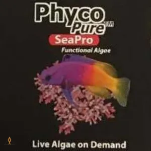 PhycoPure SeaPro Functional Algae - AlgaGen