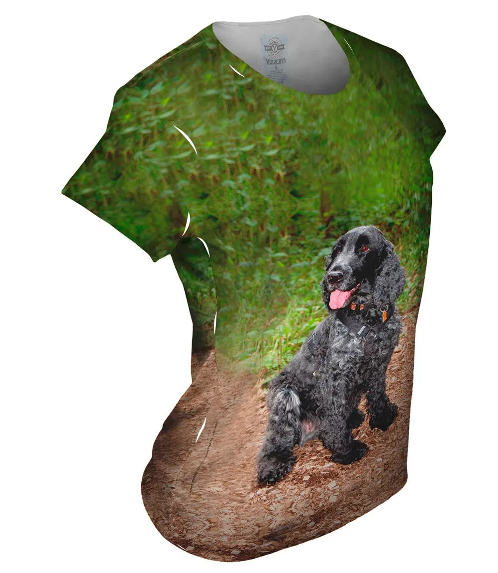 Precious Cocker Spaniel