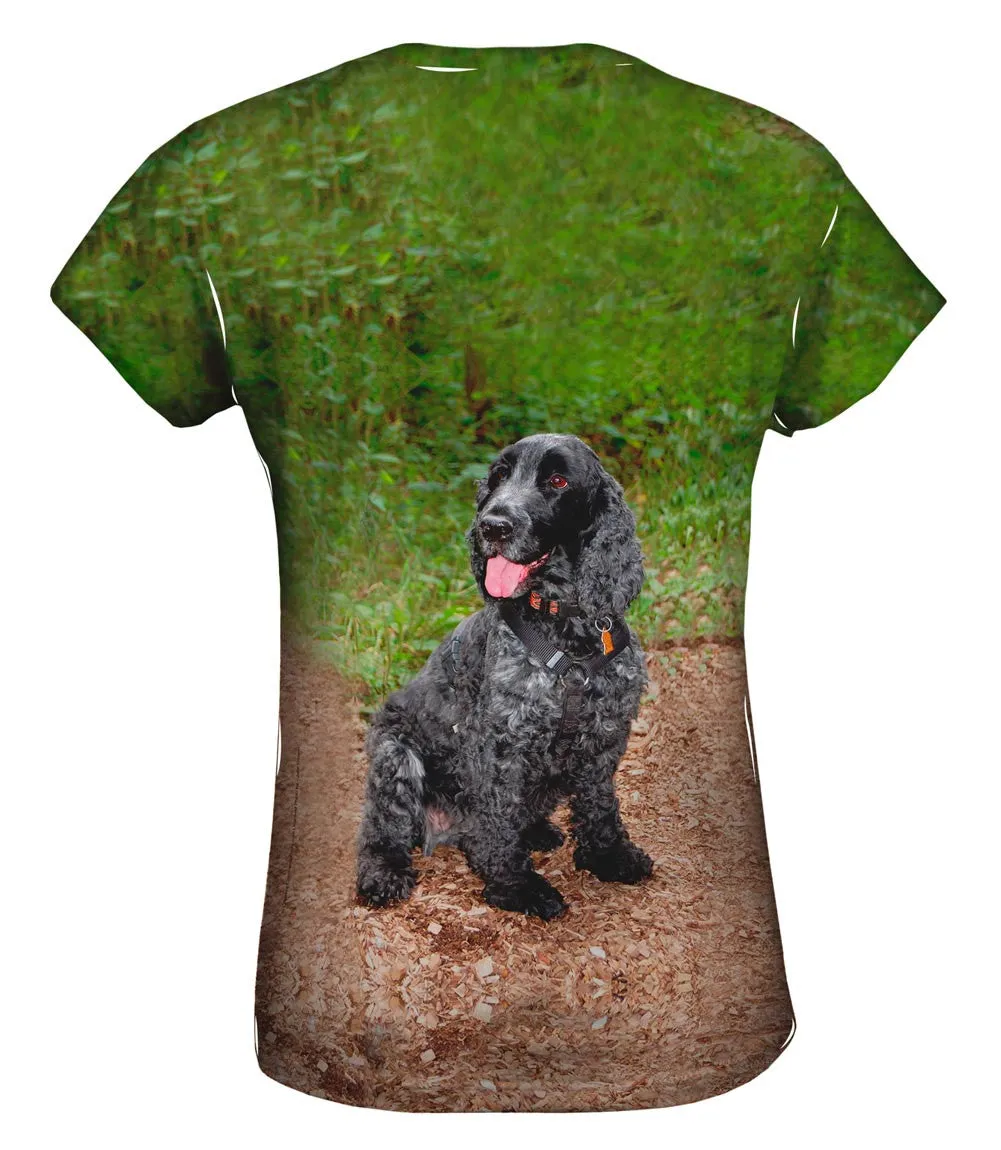 Precious Cocker Spaniel