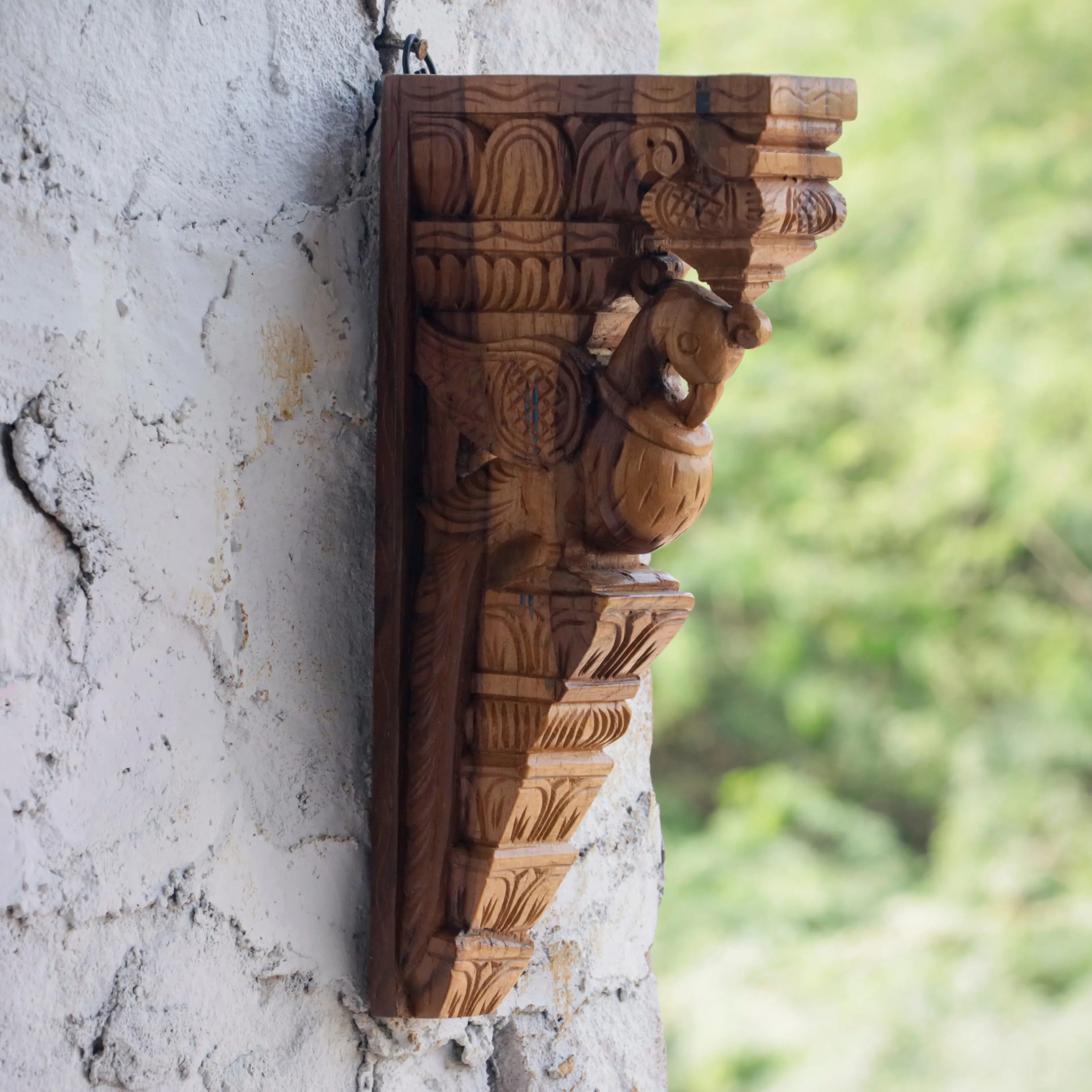 Rajshahi Southern Bird Solid teak Door Bracket