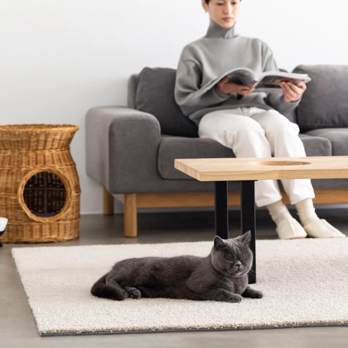 Simple Functional Joint Rug 6 set