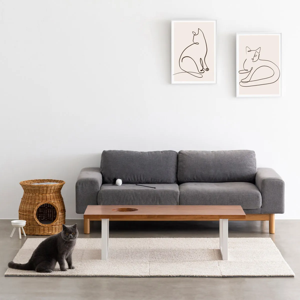 Simple Functional Joint Rug 6 set