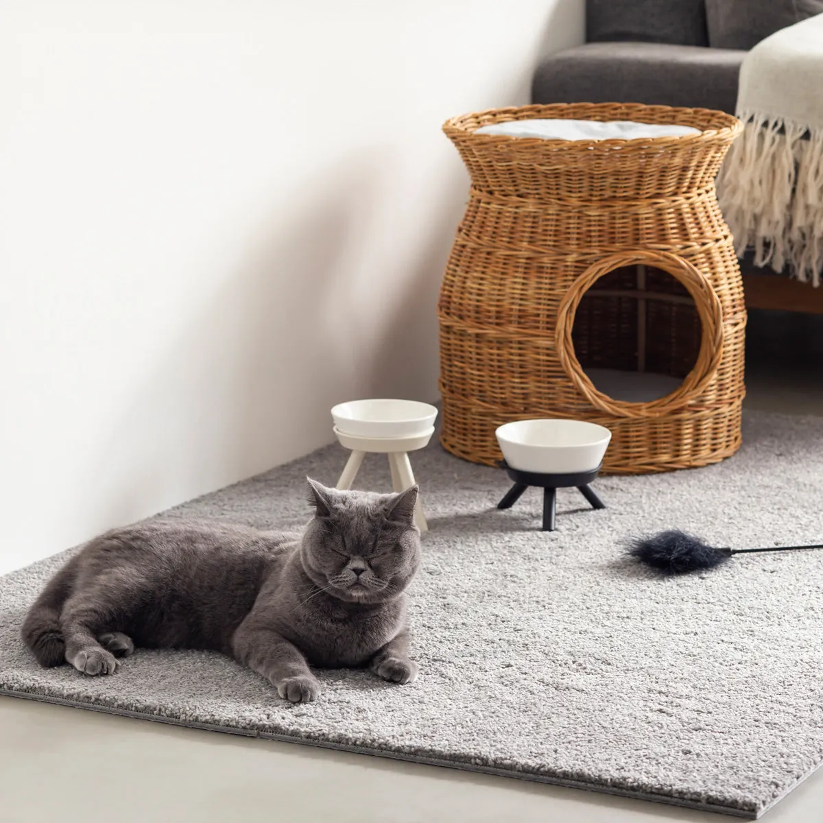 Simple Functional Joint Rug 6 set