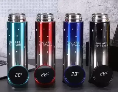 Smart LED Temperature Display Flask 500ML RANDOM COLOUR