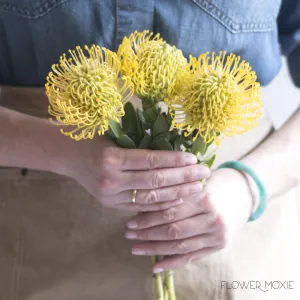 Yellow Pincushion Protea Flower
